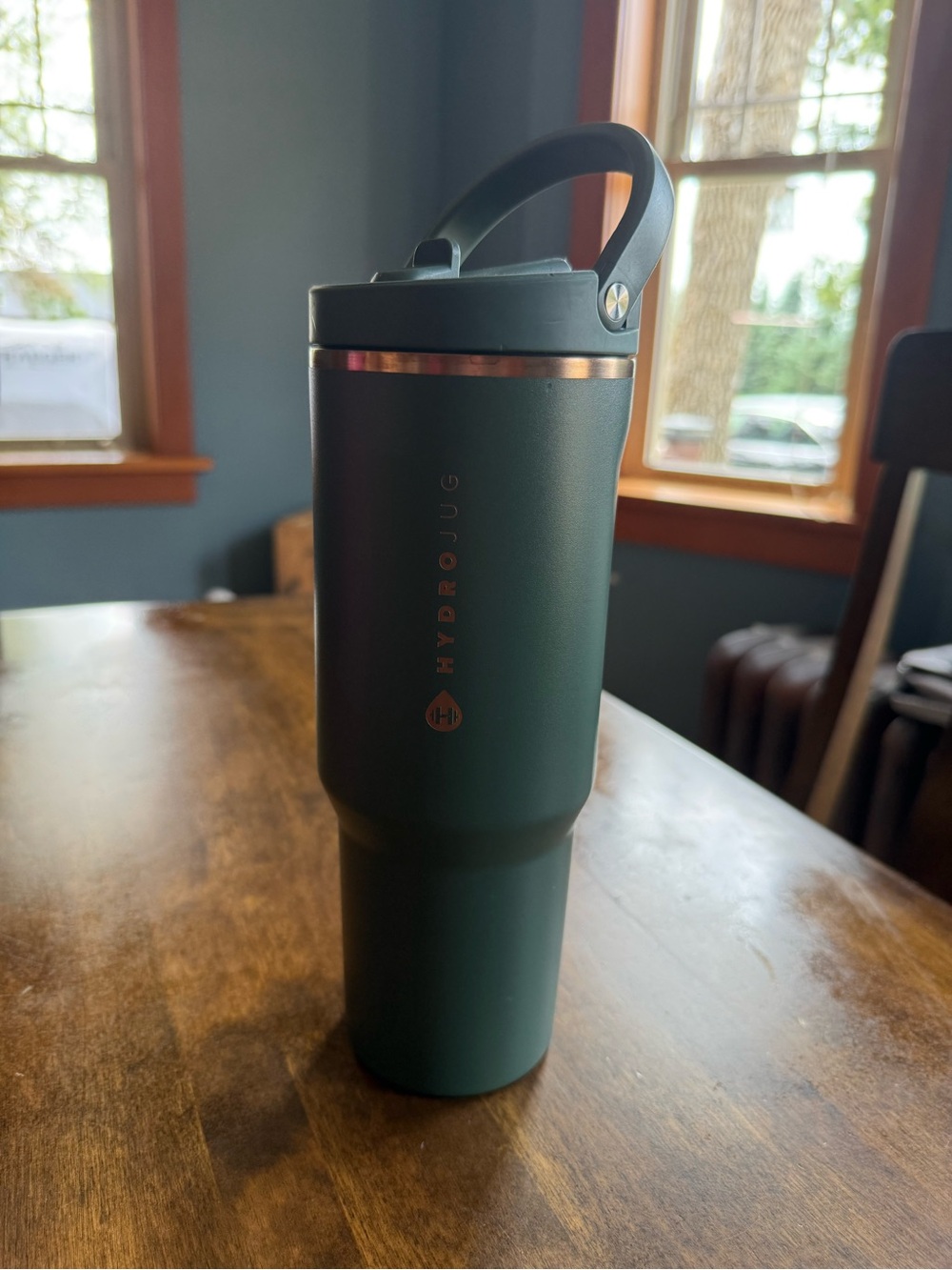 HydroJug Travel 32 oz. Insulated Tumbler with handle and straw